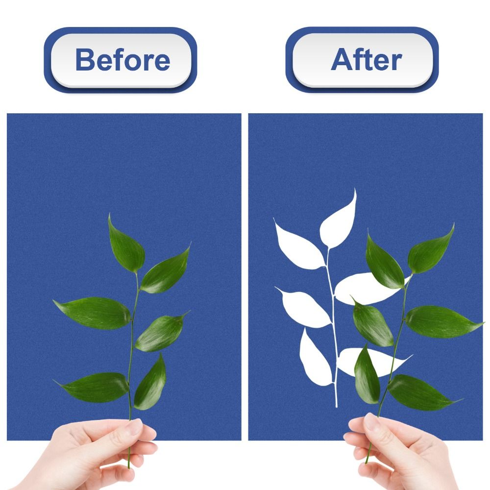 24PCS Natural Fiber Cyanotype  - Art Craft Easy With Paper 评论和价格