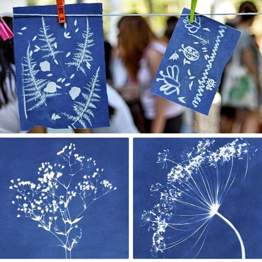 24PCS Natural Fiber Cyanotype  - Art Craft Easy With Paper 评论和价格