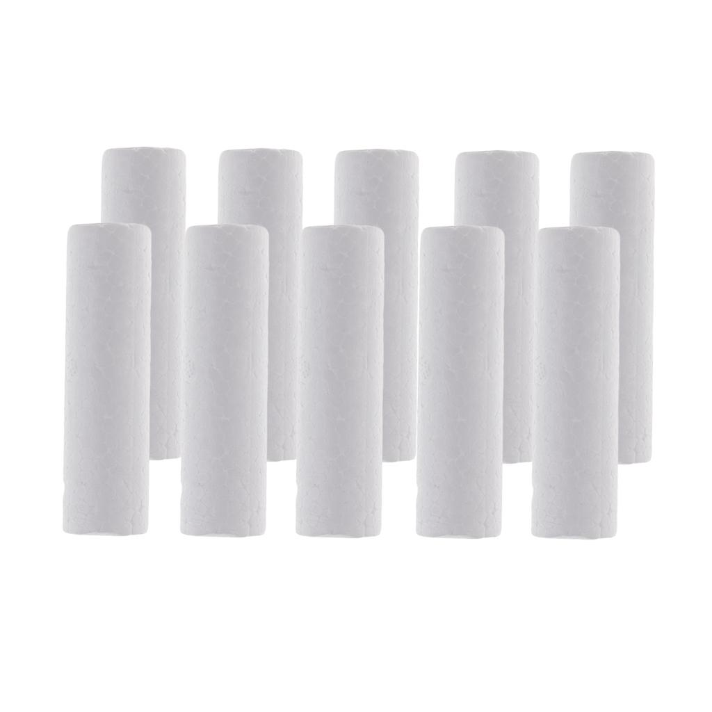 10 Pieces Blank White Cylinder - Art Craft Toddler 评论和价格