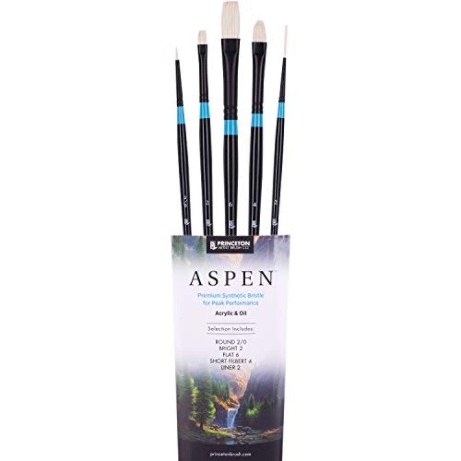 Aspen 6500 Series 5pc Professi - Gouache Paint Set 评论和价格