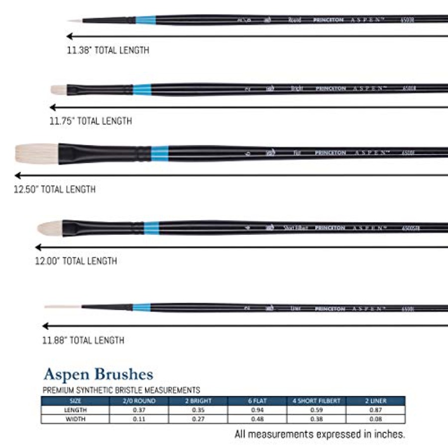 Aspen 6500 Series 5pc Professi - Gouache Paint Set 评论和价格