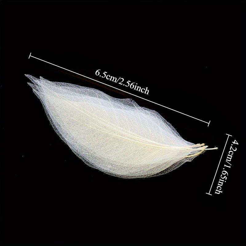 10pcs Art Deco Wooden Leaf Vei - Art Craft Leaves 评论和价格