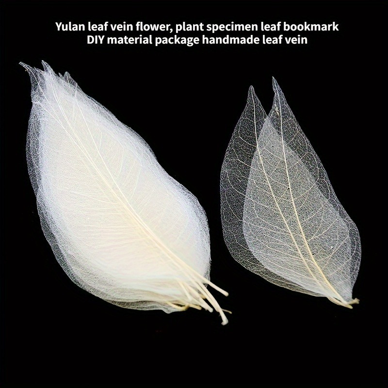 10pcs Art Deco Wooden Leaf Vei - Art Craft Leaves 评论和价格