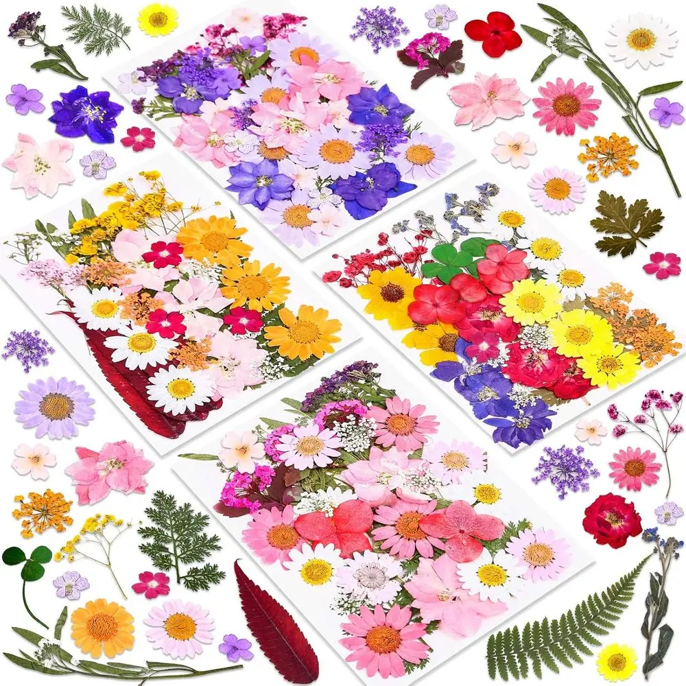 Premium Dried Predatory Plant  - Art Craft Leaves 评论和价格