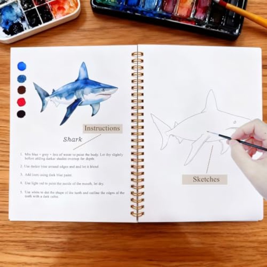 Watercolor Workbooks Coloring  - Art Craft Easy With Paper 评论和价格