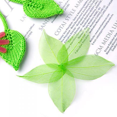 Natural Catbrier Skeleton Leav - Art Craft Leaves 评论和价格