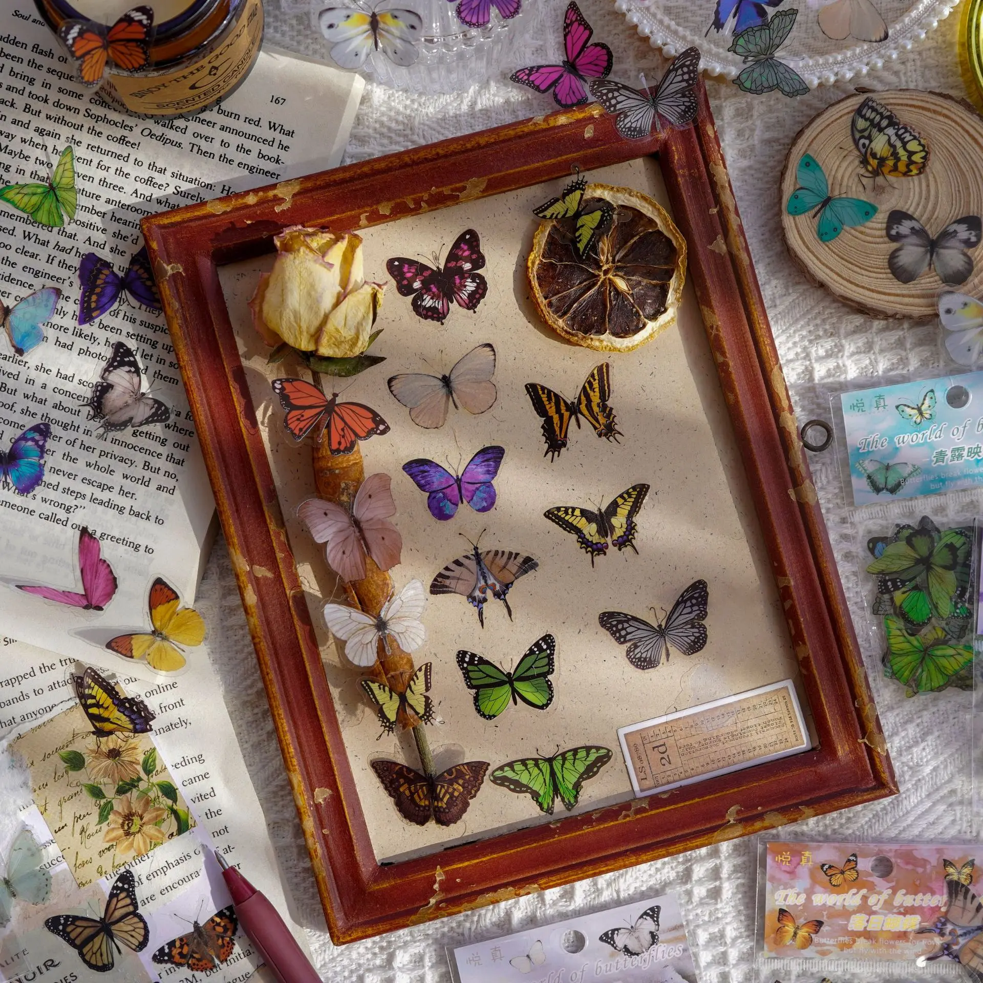 Journamm 40pcs/pack Butterfly  - Art Craft For 3 Year Old 评论和价格
