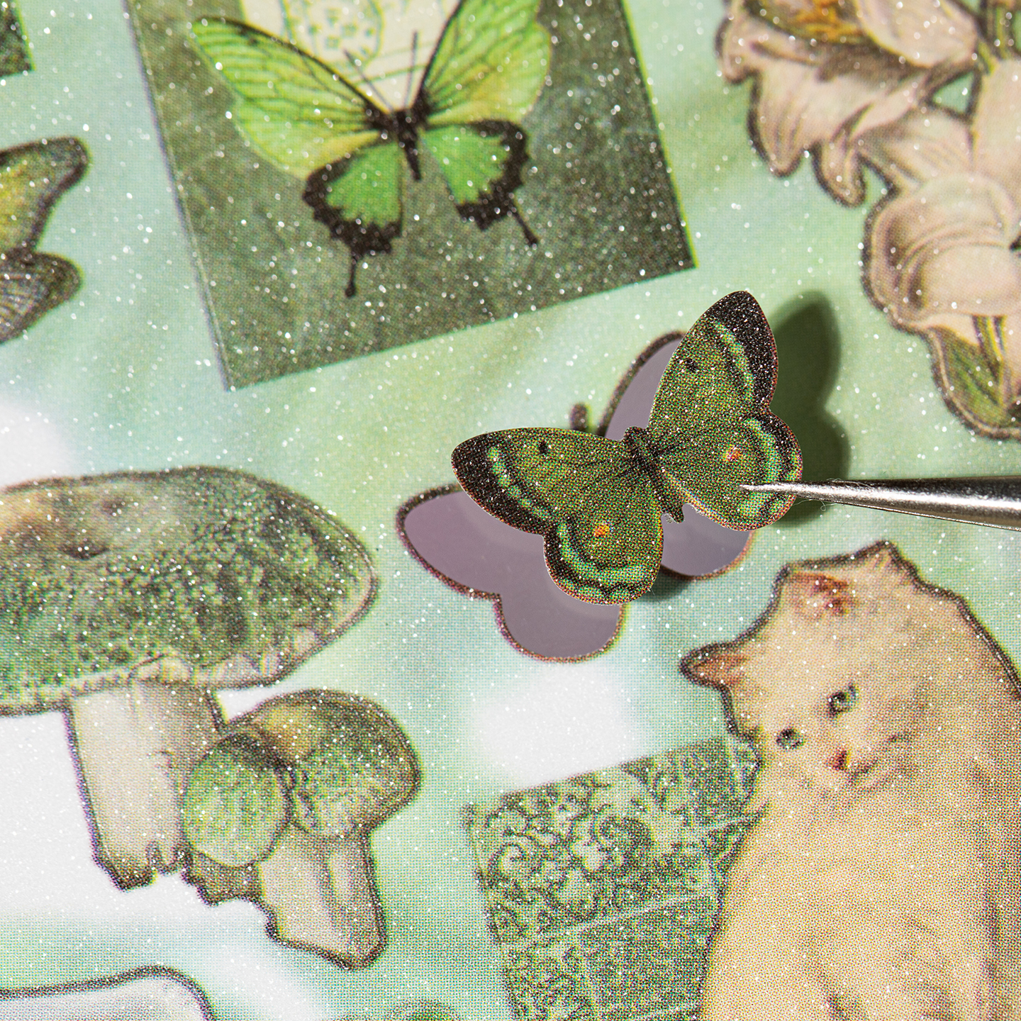 30/60 Sheets Cute PET Die cut  - Art Craft Toddler 评论和价格